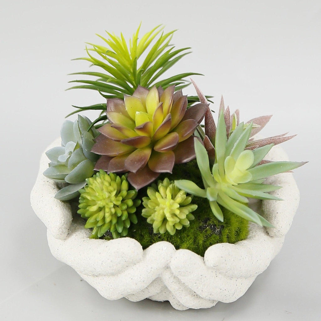 4" Mixed Green Succulent Arrangement in Ceramic Hands Pot - Lifecast