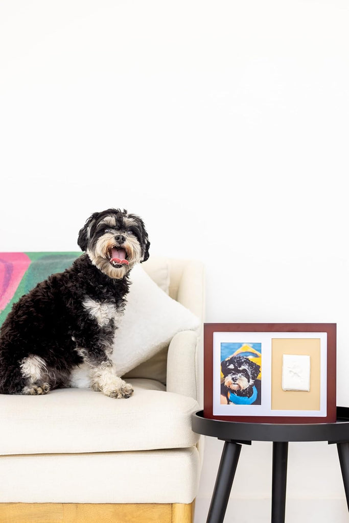 Dog or Cat Paw Print Keepsake Wall Frame Kit