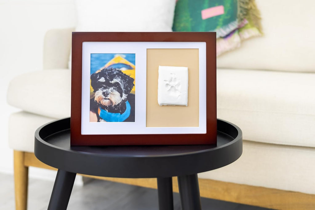 Dog or Cat Paw Print Keepsake Wall Frame Kit