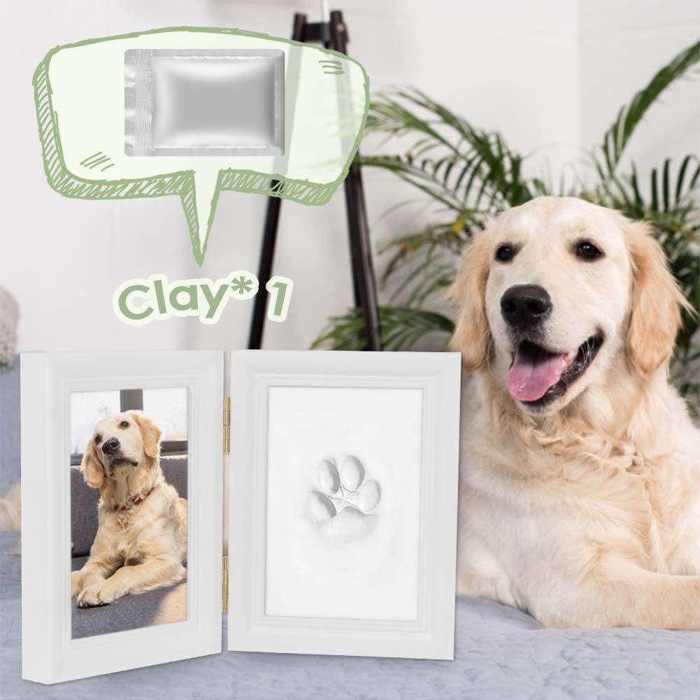 Diy Paw Print Keepsake Kit - Lifecast