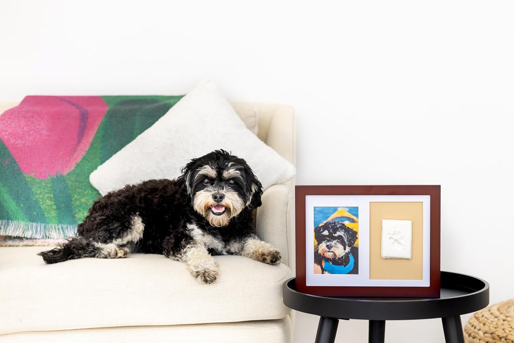 Dog or Cat Paw Print Keepsake Wall Frame Kit