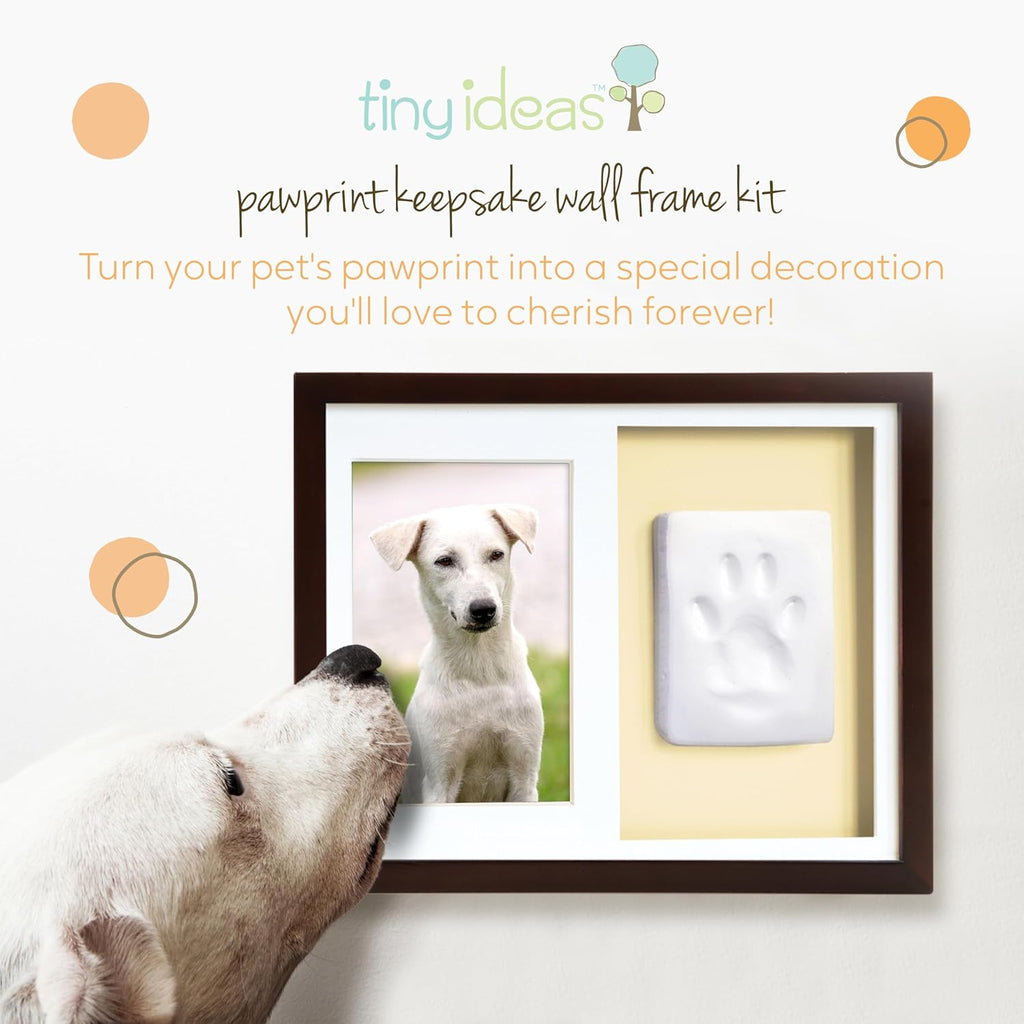 Dog or Cat Paw Print Keepsake Wall Frame Kit