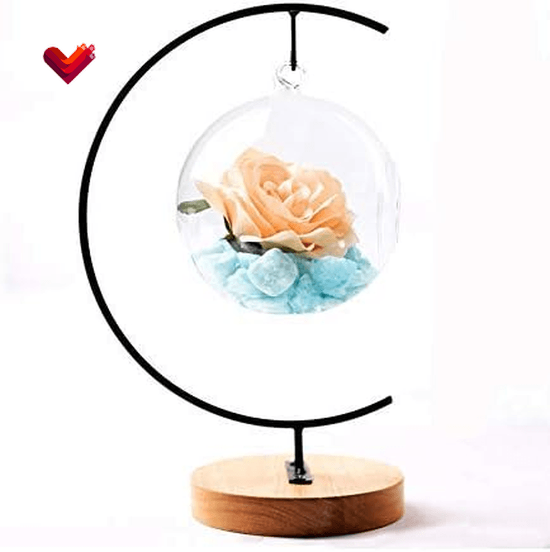 Awesomes Ornament Display Stand Indoor Metal Air Plant Flower Pot Holder for Hanging Glass Globe Ball